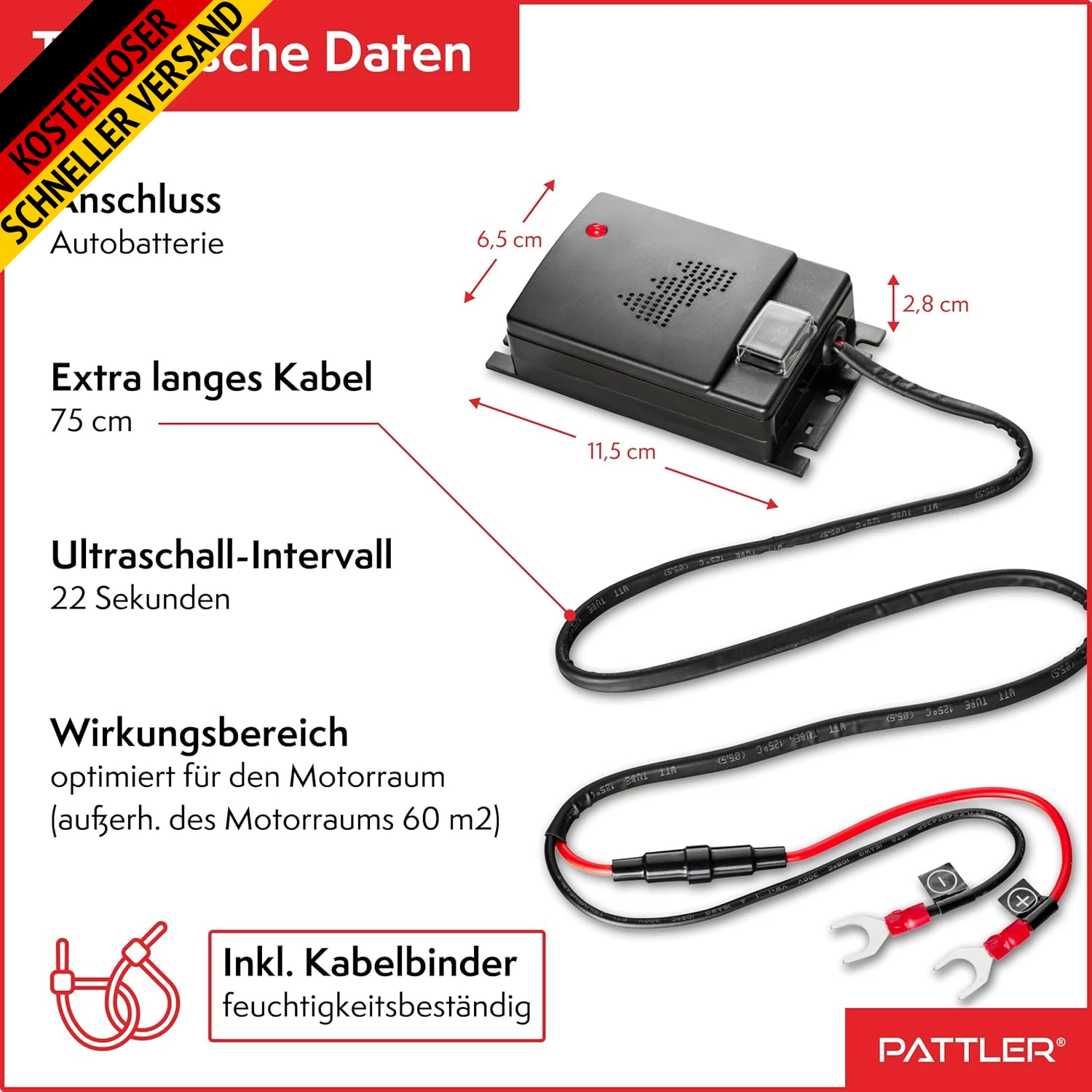 Bild 9 von 10