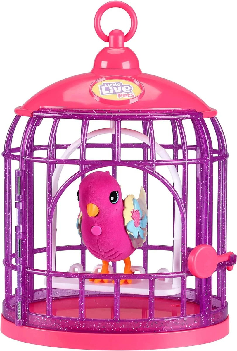 Bird playset cheap