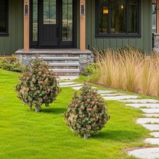 2 Pack 23.6'' Artificial Topiary Trees Bushes UV Resistant w/ Metal Ground Spike