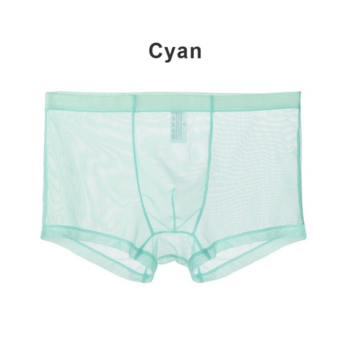 Herren Sexy Netz Bikini Slip Nachtwäsche Durchsichtig Ausbuchtung Boxer Unterwäsche Shorts - Bild 10 von 20