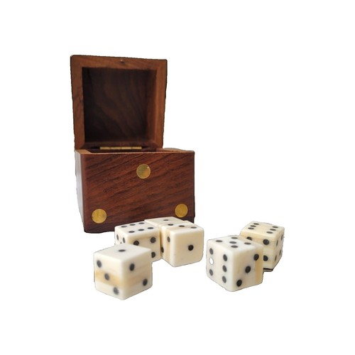 DICE 24/25・GOODMAN：CAMEL 6 Rare Unique Camel Bone D6 Dices with Antique Camel Bone Box