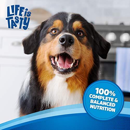 Small Breed Mini Bits Savory Beef & Chicken Flavors Dog Foo