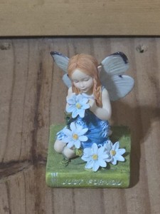 Butterfly Fairies Country Artists | eBay