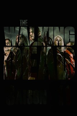 The Walking Dead TWD TV Series Maggie Rick Negan Michonne Carl Carol Daryl FAST