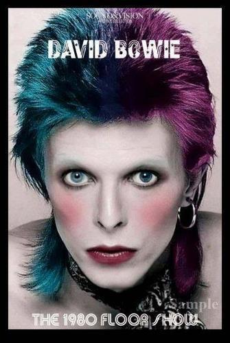 DAVID BOWIE /THE 1980 FLOOR SHOW : COMPLETE LOST MASTERS 4DVD Collectors Edition - Picture 8 of 9
