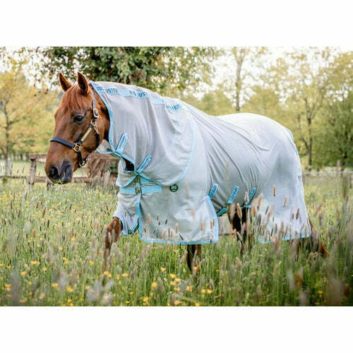 Tondeuse équine Wahl Moser Arco Equine – Neuf