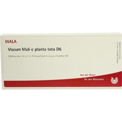 VISCUM MALI e planta tota D 6 Ampullen 10X1ml PZN 2832733