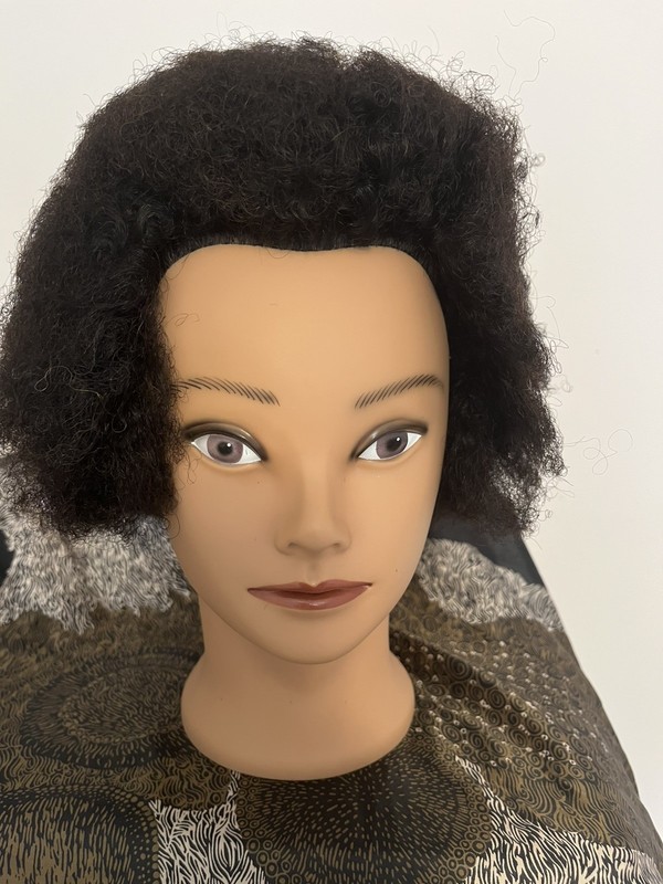 Professional African American Hair Mannequin Head for Styling Practice Training