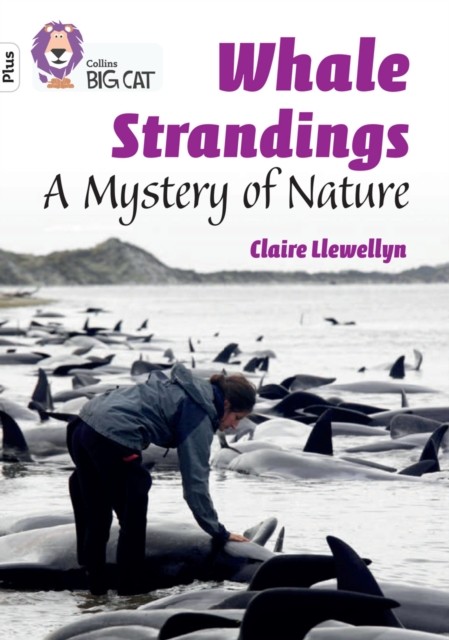 Whale Strandings: A Mystery of Nature by Claire Llewellyn (Paperback Book)