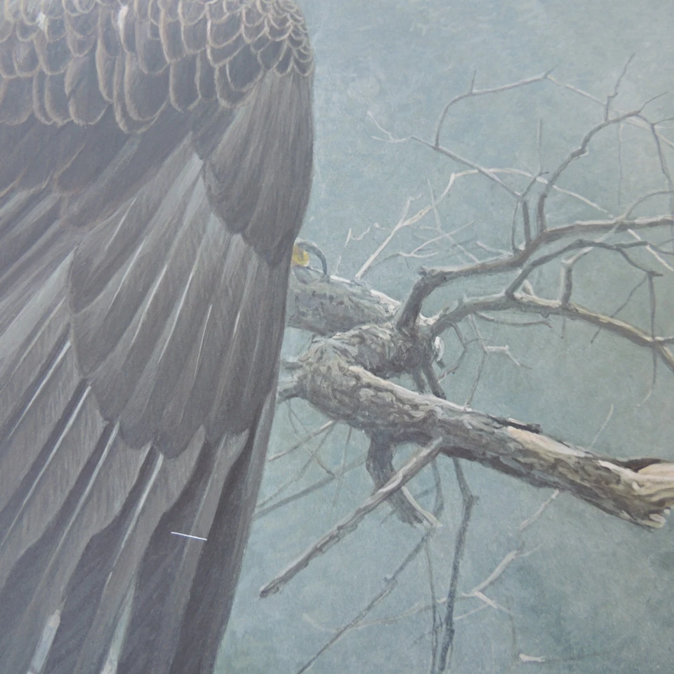 Robert Bateman THE AIR FOREST & WATCH Firmado LE Impresión 1931/42.558. Nuevo. Foto 4 de 4