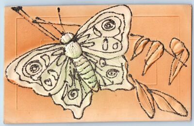 Big Butterfly Postcard Glitter Airbrushed Amboy Minnesota MN 1908 Antique Posted