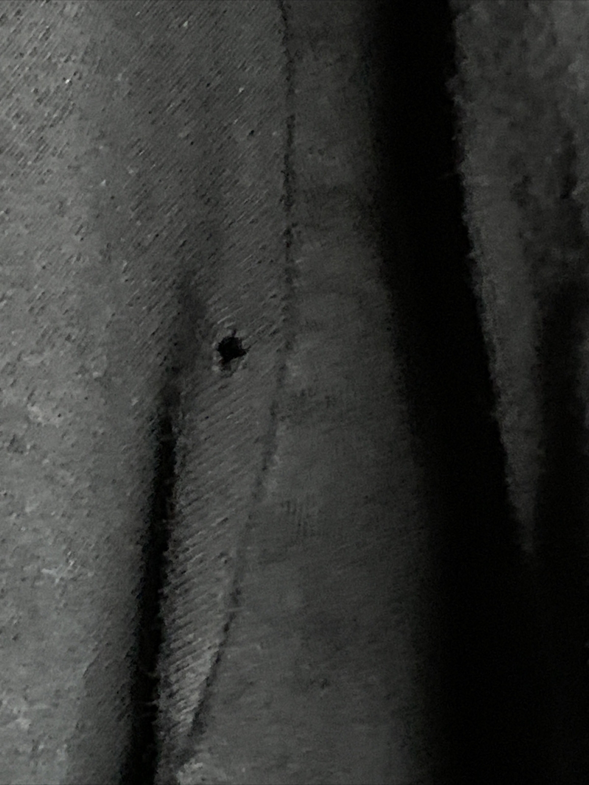 Picture 5 of 5
