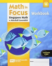 MATH IN FOCUS: SINGAPORE MATH: STUDENT WORKBOOK, BOOK B By Great Source *VG+*