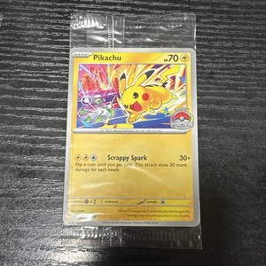 World Pikachu | eBay
