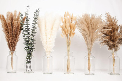 110 PCS of Boho Pampas Grass Decor, Naturally Dried Pompas, Bunny Tails Dried...