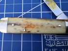 Case XX 1979 A6235 1/2 Torpedo Jack  Appaloosa smooth bone Pocket Knife — photo 10