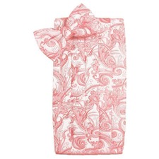 Men's Coral Reef Classic Paisley Bow Tie and Cummerbund Set