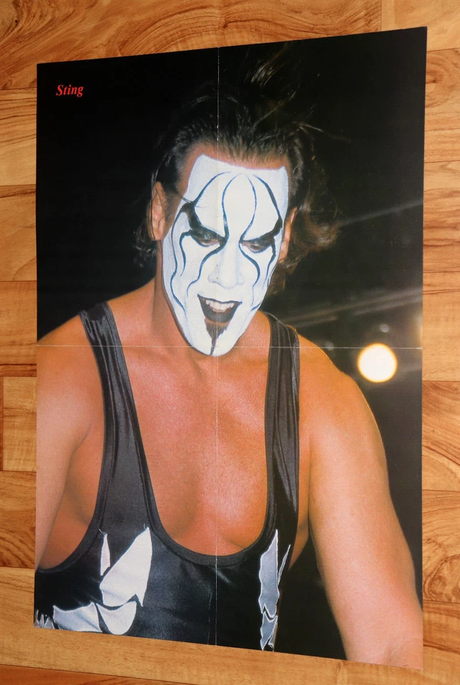 Póster vintage de lucha libre Sting/Bill Goldberg WWF WWE Foto 3 de 4