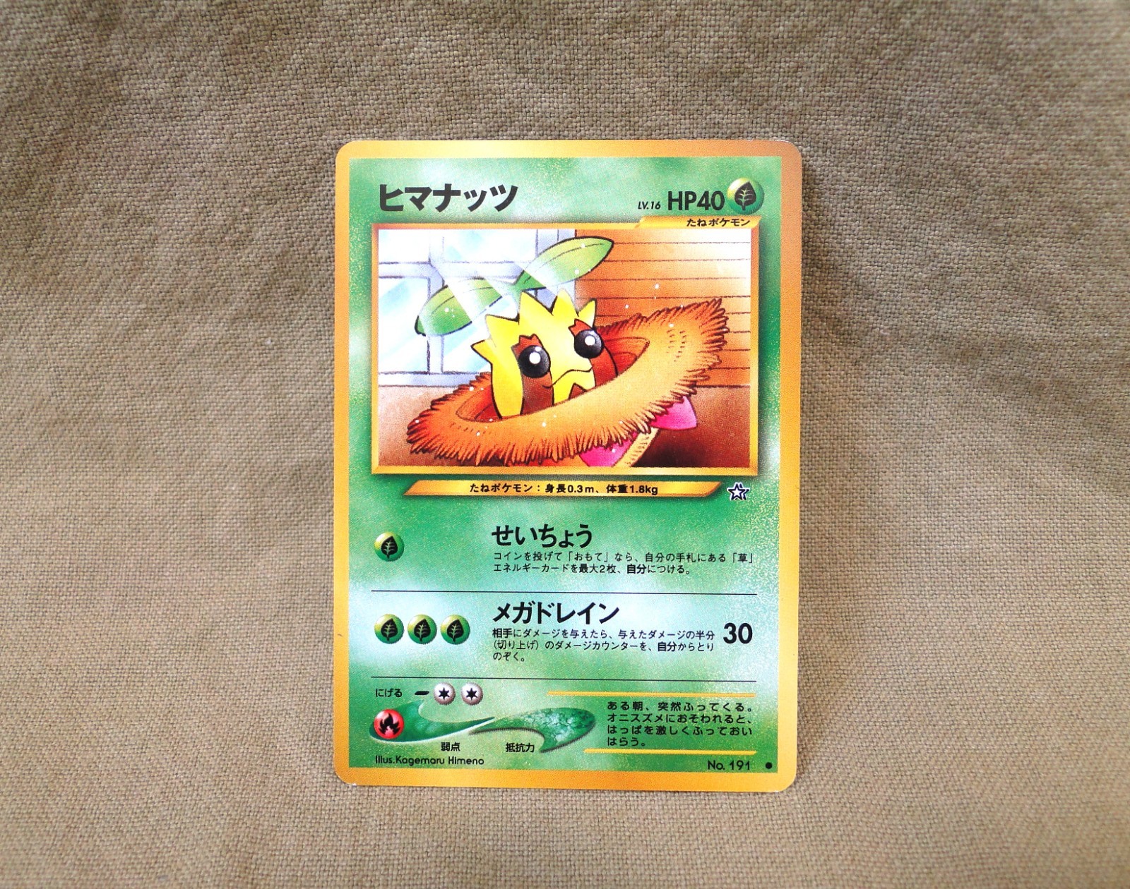 JAPANESE Pokemon Trading Card - Neo Genesis: Sunkern No. 191