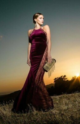 badgley mischka red velvet dress Belle Badgley Mischka Velvet Dress Size 4 Red Burgundy Formal Cocktail NEW  NWT