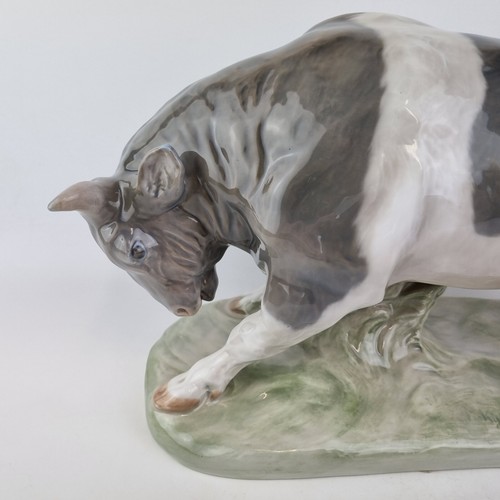 Royal Copenhagen Large Porcelain Figure Bull With Head Down 1195 Knud Kyhn 37cm - Picture 2 of 14