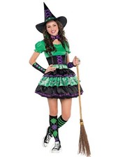 Wicked Cool Witch Halloween Costume Junior Size