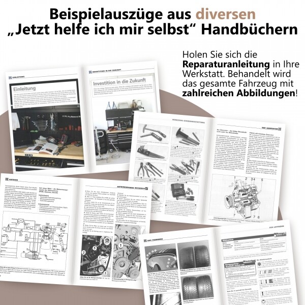 Bild 4 von 7