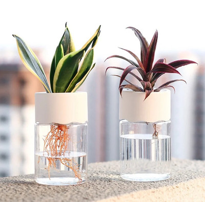 2pc Mini Transparent Hydroponic Plant Pot   Home Vase Decor Flower Planter - NEW