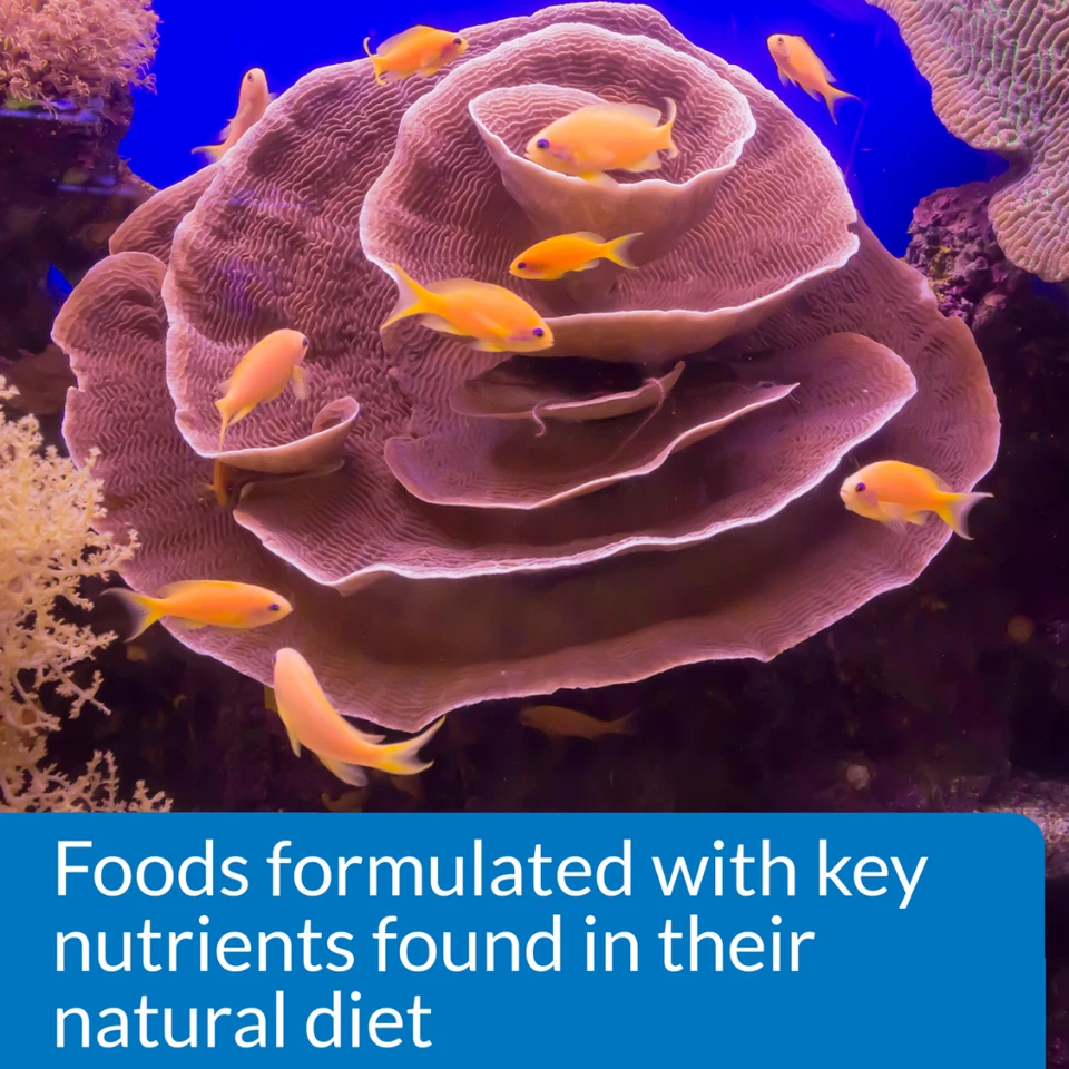 Alimento para peces en escamas marinas API 1,1 OZ peces marinos, peces payaso, wrasses y espigas Foto 2 de 4