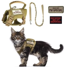 Tactical Cat Harness and Leash Set for Walking Escape Proof Adjustable Large ...