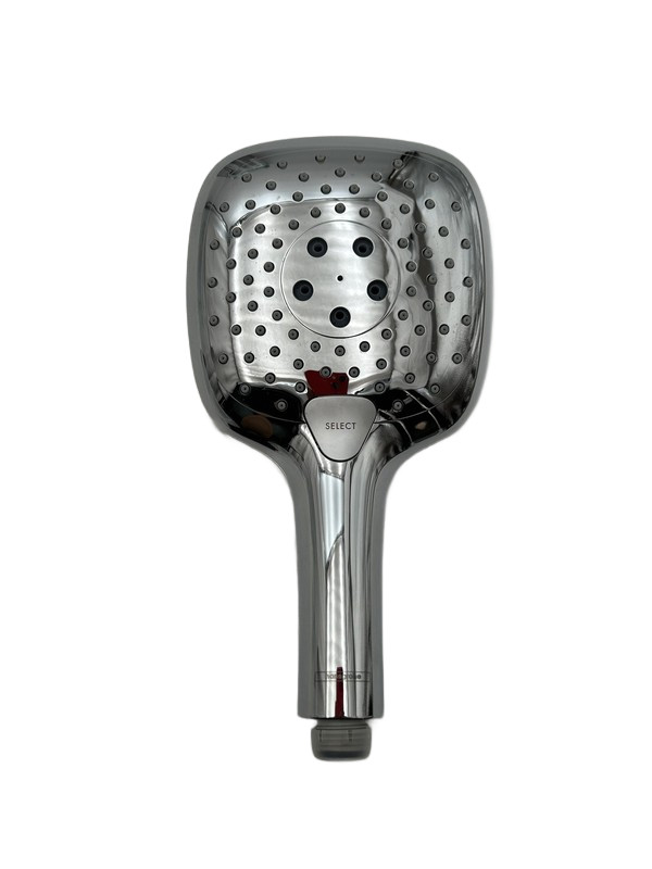 Hansgrohe Raindance Select Shower Head