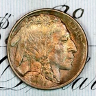 * 1913-D TYPE 1 * PRISTINE+ GEM BU MS BUFFALO NICKEL * FROM ORIGINAL COLLECTION