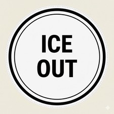 ICE OUT Anti ICE 3  Sticker As Worn At The Grammys, Protest Sticker, Anti Trump