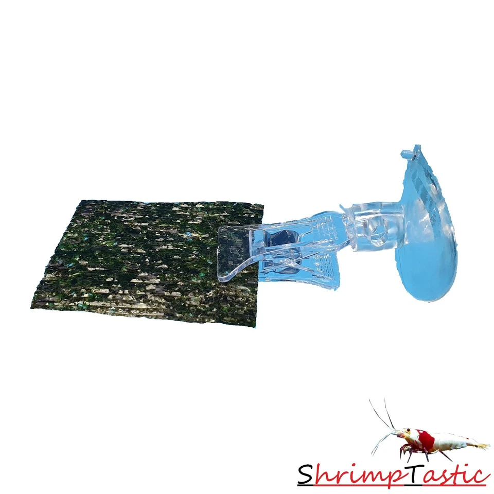 Futter-Klammer mit Saugnapf für Blätter / Garnelen Aquarium Futter