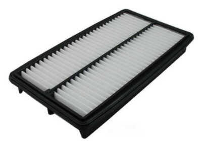 Air Filter Pentius PAB10013