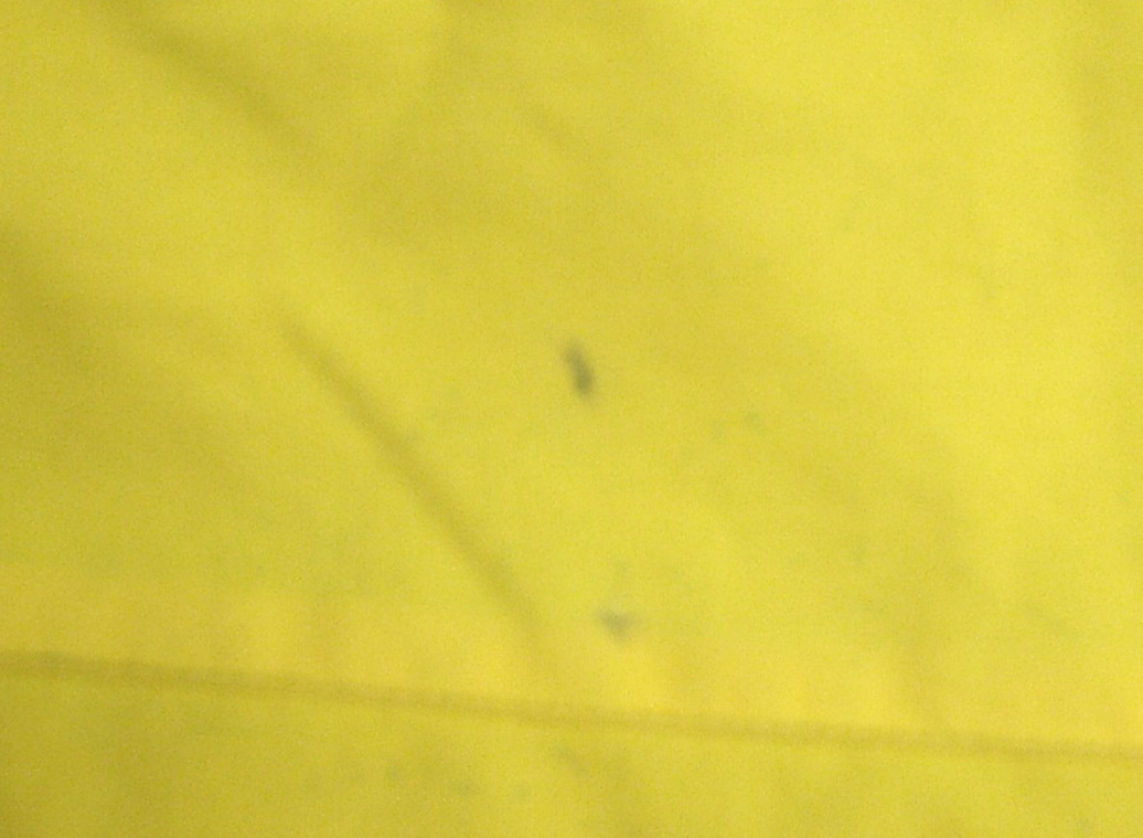 American Eagle AE Performance Womans Yellow, Gray… - image 18