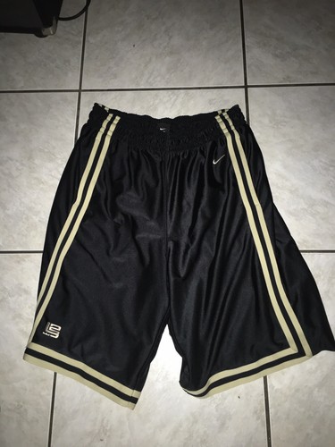 Nike Lebron James L23 Mens Shorts Sz 