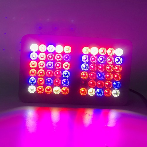 Reflector 150w 300W 600W 900W 1200W LED Grow Light Indoor Plant with switches - Picture 22 of 38