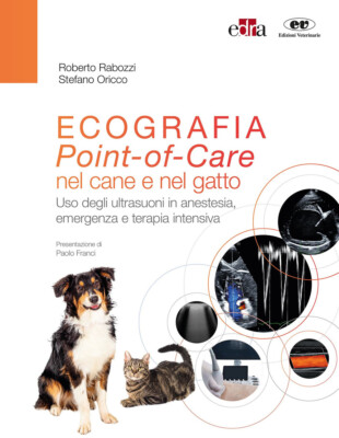 Ultraschall. Point-of-Care bei Hund und Katze. Ultraschall Einsatz in Ane...