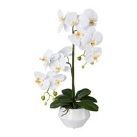 Kunstpflanze Phalenopsis (Orchidee), Farbe Weiß, Inkl. Keramiktopf, HöHe Ca. 52