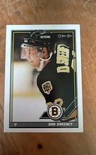 1991-92 O-Pee-Chee - Don Sweeney #319