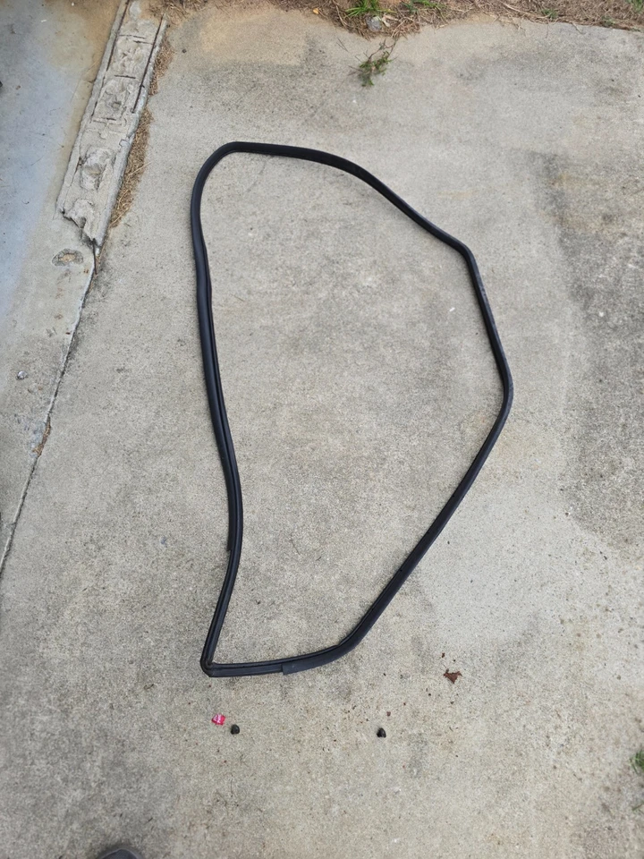 Sello de goma para puerta trasera derecha derecha pasajero OEM Scion xB 2011 Foto 2 de 4