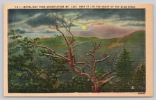 Linen Postcard Moonlight Over Grandfather Mt Blue Ridge NC 1930s