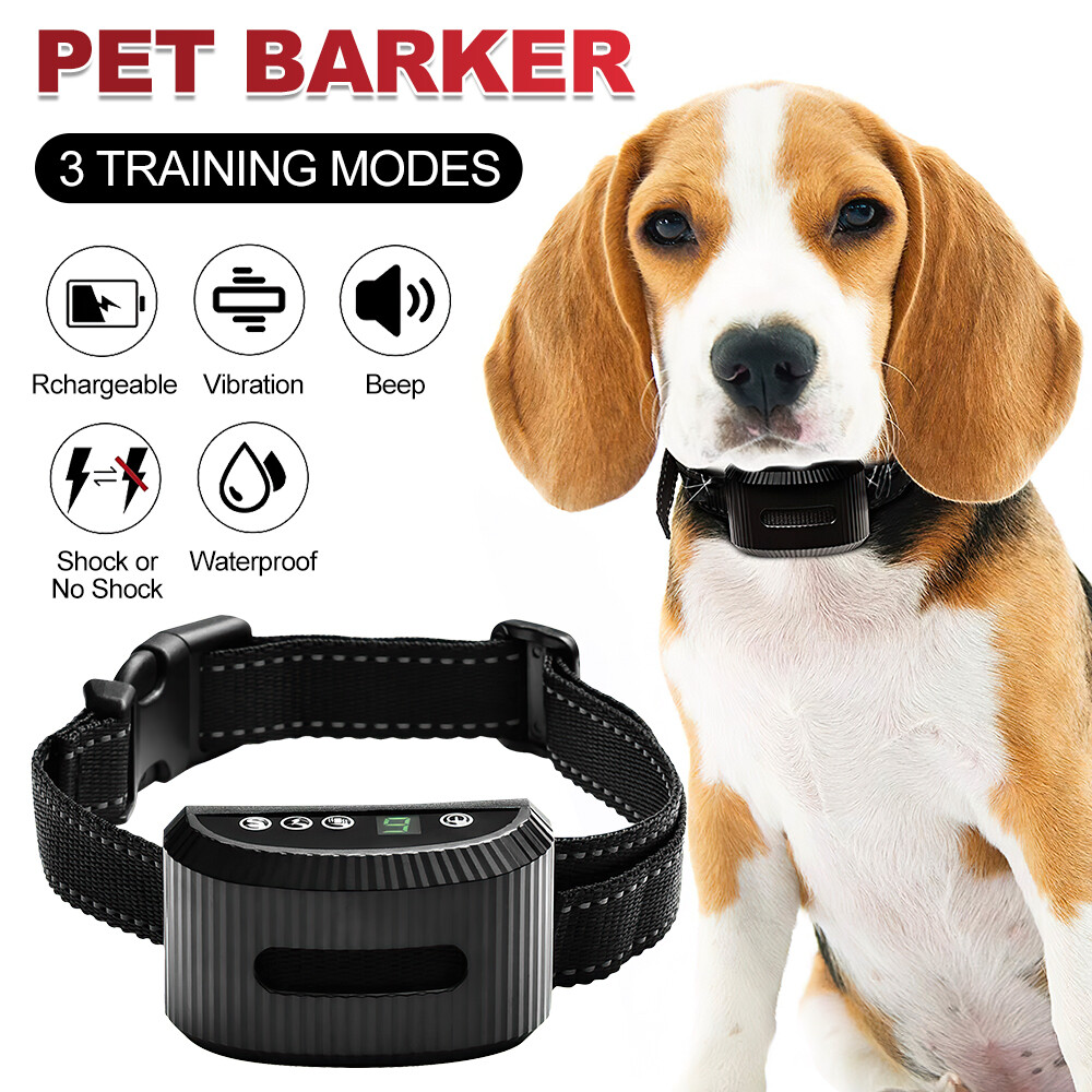 Training Collar Best Bark Collar For Beagle Sale Beagle Training