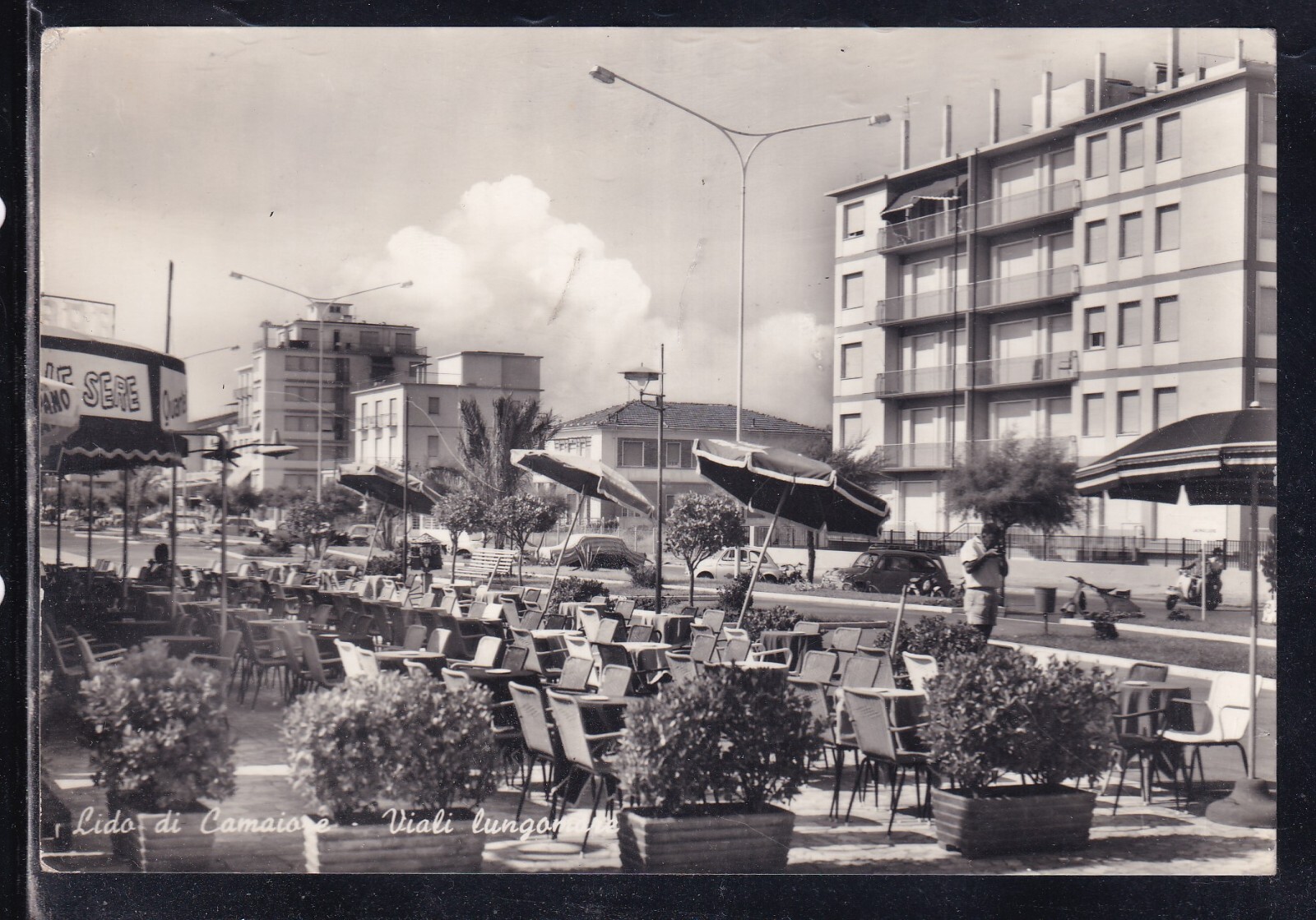 Cartolina Lido di Camaiore Viali Lungomare IB676
