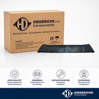 Zier Schutzleiste StossfÄNger Vorne Diederichs 4006054 FÜR CitroËN