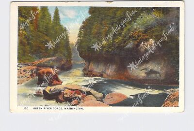 PPC Postcard WA Washington Green River Gorge