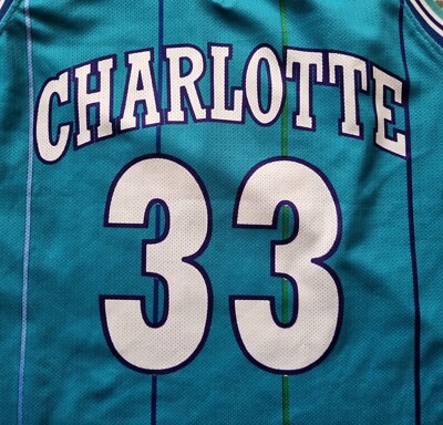 NBA Charlotte Hornets Vintage Champion Basketball Jersey#33 Alonzo