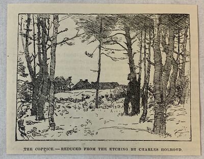1894 magazine engraving~ THE COPPICE ~ Charles Holroyd