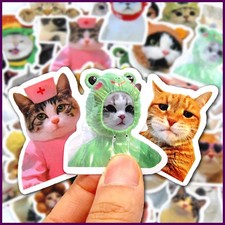 10/50/100pcs Funny Cat Stickers Cartoon Cute Decals Toy Stationery Guitar Phone
